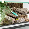 Terrario in vetro con accessori, set 30x30x20 cm per ragni Anteprima dell’immagine prodotto 7