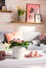 A living room scene with a couch, shelves, and a coffee table featuring a potted plant and candles. Náhľad obrázku produktu