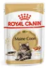 Royal Canin 9003579001202, Adult, Maine Coon, Muschel Produktbild-Vorschau 2