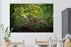 MuchoWow® - Selbstklebend - Fototapeten Produktbild-Vorschau 2