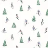 20 Servietten Skiing - Skifahrer 33x33cm Produktbild-Vorschau 1