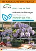 SAFLAX - Garden in the Bag - Bonsai - Afrikanischer Produktbild-Vorschau 1