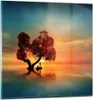 Bilder auf glas - See Natur Nacht - 70x70cm - Glasbilder - Produktbild-Vorschau 1