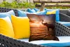 MuchoWow® Outdoor Kissen - Elefant - Meer - Tiere - Produktbild-Vorschau 4
