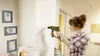 BOSCH Home & Garden 0603133000 BOSCH Home & Garden Vista previa de la imagen del producto 4