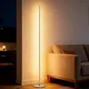 EDISHINE Lampa podłogowa LED do salonu z możliwością Podgląd zdjęcia produktu 2