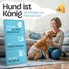 HUND IST KÖNIG Windeln für Hündinnen [3 Stk], M (Taille Produktbild-Vorschau 8