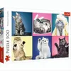 Trefl 37377 puzzle Puzzle 500 pezzi Animali Anteprima dell’immagine prodotto 5
