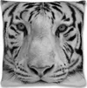 Kissenhülle 2er Pack Fotodruck ca. 40 x 40cm Tiger grey Produktbild-Vorschau 1