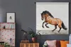 MuchoWow® Wandteppich Wandbehang Pferd - Tiere - Weiß - Produktbild-Vorschau 5