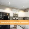 A modern kitchen with white cabinets, a black refrigerator, and stainless steel appliances, illuminated by ceiling lights. Produktbild-Vorschau