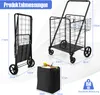 A product image showing a shopping trolley and its dimensions, along with a separate bag. Voir les images du produit