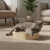 Katzenbett Kratzbrett Kratzpappe für Katzen 41×31×10 cm – Produktbild-Vorschau 7