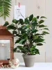 Umělá rostlina březový fíkus Ficus natasja Ø 30 H 40 cm Náhled obrázku produktu 2