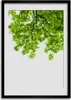 Bild - Bilderrahmen - 50 cm x 70 cm - MDF - Rahmen - Produktbild-Vorschau 1
