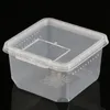 Terrario Insect Box Compact 12x12x7cm Terrario Voir les images du produit 7