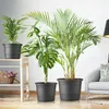 Plastard Blumentopf Terra Ø 54 cm Anthrazit wetterfester Produktbild-Vorschau 5