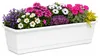 Blumenkasten geli Standard Kunststoff 60x17x14 cm weiß Produktbild-Vorschau 2