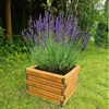 HolzGarden Drevený Kvetináč 40x30x40 cm Impregnovaný Farbe: Náhľad obrázku produktu 3