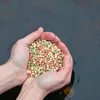2 x 10 Liter (2,18 kg) Lyra Pond® Pond Colour Mix Light Produktbild-Vorschau 7