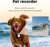 A dog wearing a pet camera on its collar, with a beach scene in the background and a video thumbnail overlay. Anteprima dell’immagine prodotto