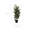 Umělá rostlina v květináči, 95 cm Náhled obrázku produktu 2
