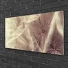 Acrylglasbilder 100x50 Wandbild Druck Pusteblume Pflanzen Produktbild-Vorschau 2