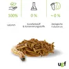 A pile of dried mealworms with a single larger mealworm in the foreground, accompanied by marketing icons and text. Produktbild-Vorschau