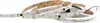 LED Lauflicht-Streifen 2835 120 LED/m 24 V Water Flow Produktbild-Vorschau 4