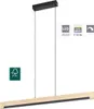 A product image of a pendant light with informational icons. Anteprima dell’immagine prodotto