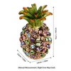Ananas Schmuckkästchen, Mini-Größe, Strasslegierung, Produktbild-Vorschau 8
