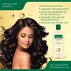 Shampoo anticaduta Gerovital con Procapil e Bio-Capigen - Anteprima dell’immagine prodotto 6
