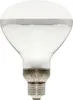 Reptile Systems - D3 UV Basking Lamp, E27 - 100W Produktbild-Vorschau 4