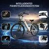 Cityrad C1 E-Bike Elektrofahrrad 28 Zoll Tiefeinsteiger Produktbild-Vorschau 9