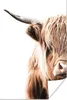 MuchoWow® Poster Schottischer Highlander - Tier - Stier Produktbild-Vorschau 1