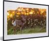 MuchoWow® Gerahmtes Poster Hirsche - Pflanzen - Produktbild-Vorschau 1