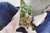 MuchoWow® Handyhülle Schutzhülle Hülle für Samsung Galaxy Produktbild-Vorschau 3