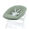 hauck Premium Alpha Bouncer - Babywippen und Newborn Produktbild-Vorschau 10