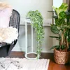 A white metal plant stand with a cascading green plant sits next to a chair and a larger plant in a basket. Produktbild-Vorschau