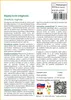 SAFLAX - rajský kvet (reginae) - Strelitzia reginae - 5 Náhľad obrázku produktu 3