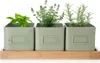 Three square planters with herbs sit on a wooden tray against a white background. Produktbild-Vorschau