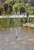 Pontec PondoSolar 150, Wasserspielpumpe Produktbild-Vorschau 9