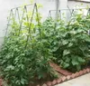 DIXIE STORE, Tomaten und Gurken Rankhilfe, Rankgitter Produktbild-Vorschau 8