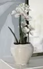 o Ferretti Wazon Perly okrągły Ø 22x20 cm Podgląd zdjęcia produktu 6