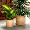Rattan Korb Topf 3er Set rund mit Einsatz Blumentopf Produktbild-Vorschau 5