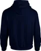 Gildan - Sweat à capuche homme/femme unie FK2773 (L) (Bleu Voir les images du produit 2