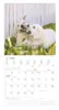 Alpha Edition - Welpen Kalender 2026 - Wandkalender 30x30 Produktbild-Vorschau 7