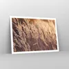 Poster - Poster ohne Rahmen - Boho Ähren Feld - 100x70 cm - Produktbild-Vorschau 7