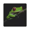 MuchoWow® Mauspad Mousepad Rotäugiger Quecksilberfrosch auf Produktbild-Vorschau 1