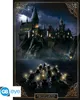 Harry Potter - Bradavice - plakát Náhled obrázku produktu 8